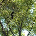 total-thrash-dreh-berlin (15)